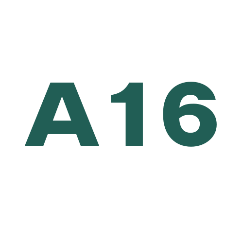 A16