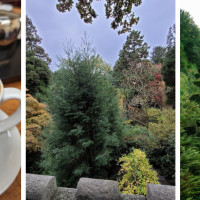 Biddulph Grange Tea Room