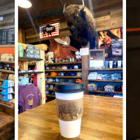 Bison Union Coffee Company