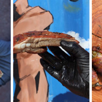 Blu's Barbeque & BBQ Catering