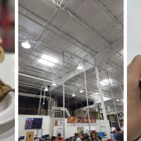 Costco Food Court Issaquah
