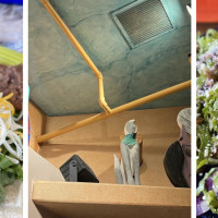 Dos Coyotes Border Cafe Davis