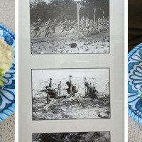 Downwind Restaurant and Lounge