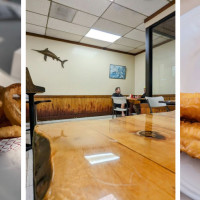 England Fish & Chips