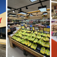 Food City White Pine