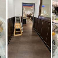 Golden Buffet and Grill