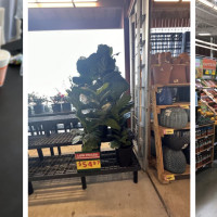 H-E-B Dripping Springs