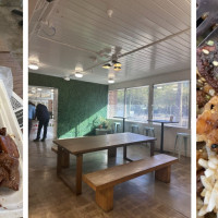 Hawaiian Bros Island Grill Tempe