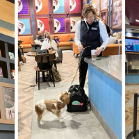 Hugo Coffee Roasters