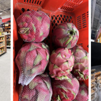 Indian Grocery Outlet