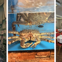 Jade Asian Bistro 明都