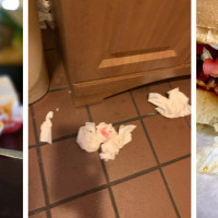 Jalisco Restaurant Coachella