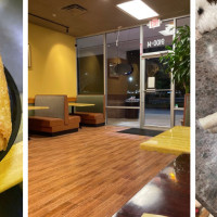 Jimmy Fu's Asian Restaurant