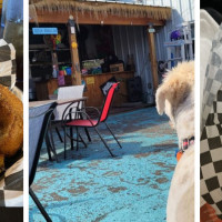 JW Snack's Gulf Coast Bar & Grill