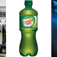 Kavasutra Kava Bar Denver