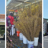 Little Saigon Westminster