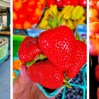 MacPherson's Fruit & Produce