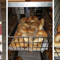 Modern Bagel Cafe