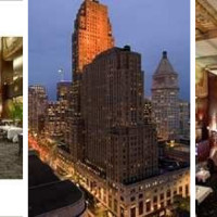 Orchids at Palm Court