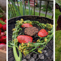 Pacific Coast Harvest