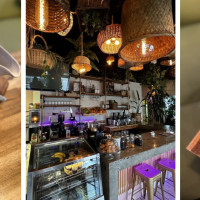 Palmeira Tropical Fusion