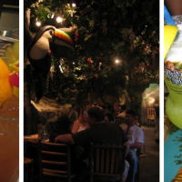 Rainforest Cafe