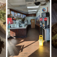 red snapper fish & chicken