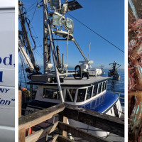 Robbie's Ocean Fresh Seafood