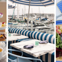 SALT Restaurant and Bar