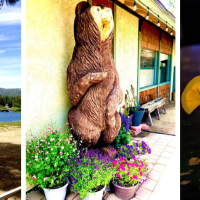 Santana & Mavericks Unique Crafted Foods