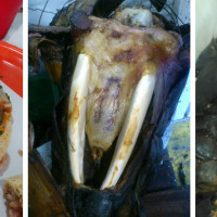 TACOS EL CUÑADO (TACOS DE CABEZA DE RES AL HORNO)