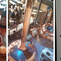 Tangled Roots Brewing Company