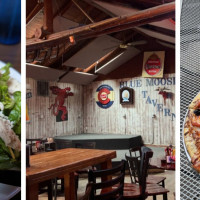 The Blue Moose Tavern