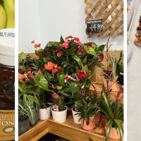 Trader Joe's Lynnwood