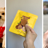 Trader Joe's South San Francisco